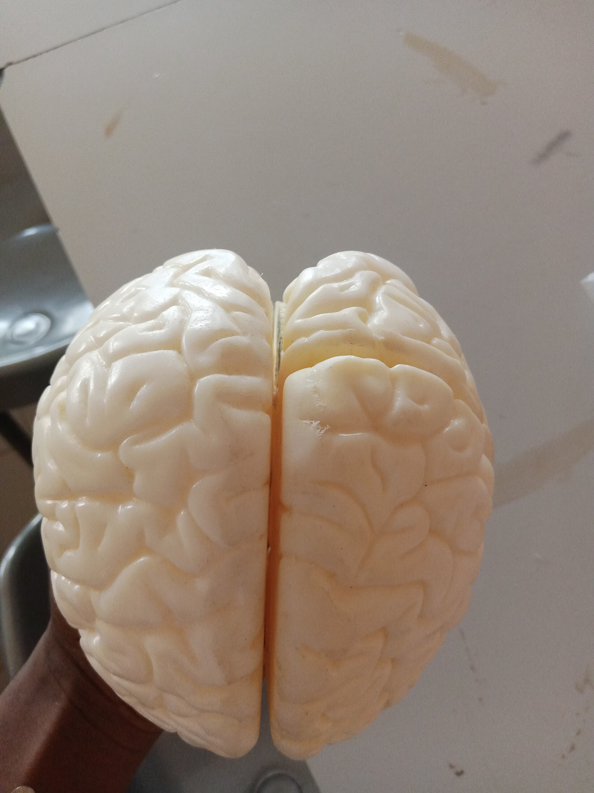 Joe Dispenza meditación y ciencia